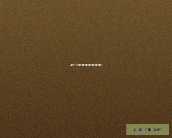 2026年世界杯夺冠热门球队全解析与赛程前瞻