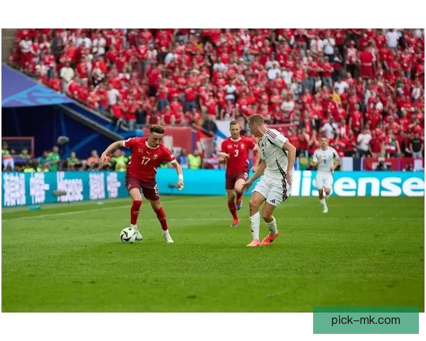 世界杯精彩竞猜尽在官方APP，实时比分与赛事分析全面掌握