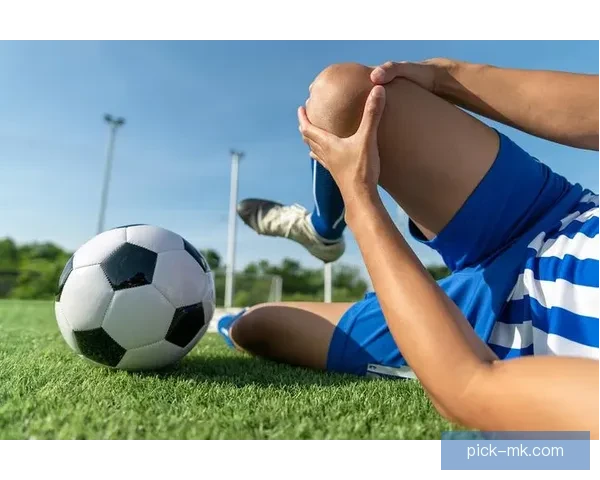 世界杯体育竞猜官网全面解析助您轻松掌握赛事投注技巧