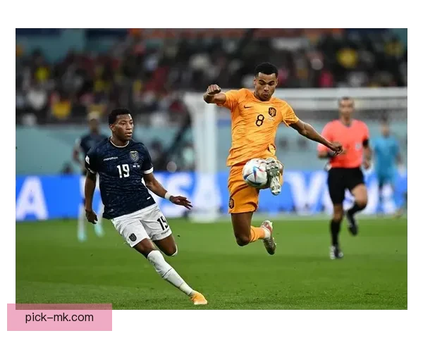 世界杯竞猜技巧全攻略精准分析助你赢得预测大奖